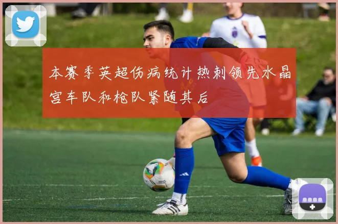 本赛季英超伤病统计热刺领先水晶宫车队和枪队紧随其后