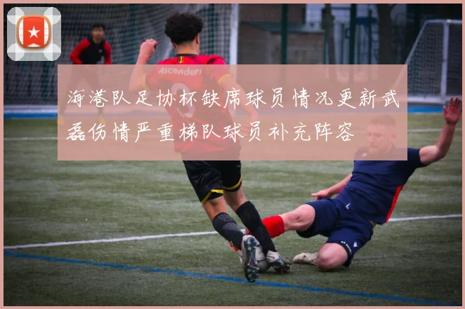 海港队足协杯缺席球员情况更新武磊伤情严重梯队球员补充阵容